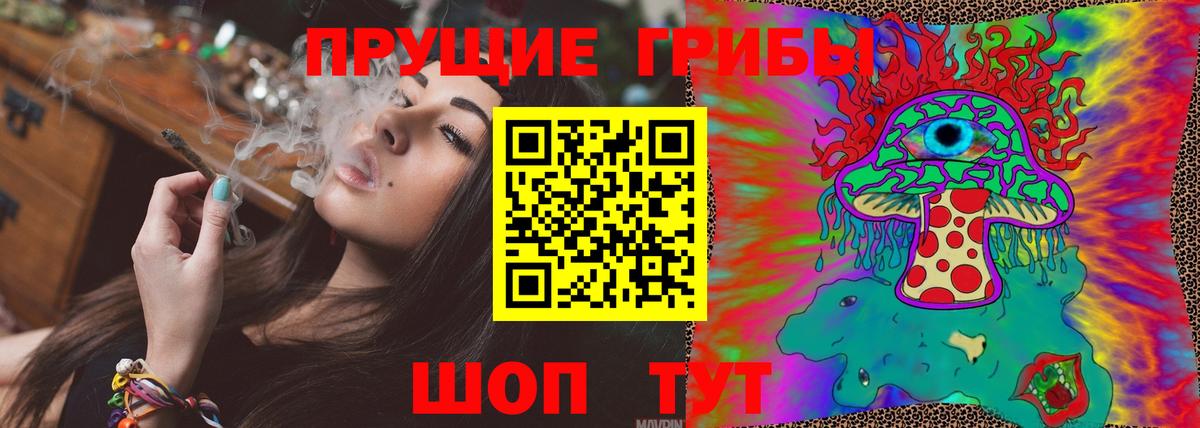 Екатеринбург  закладка  Вход с VPN  Галлюциногенные грибы Psilocybe 